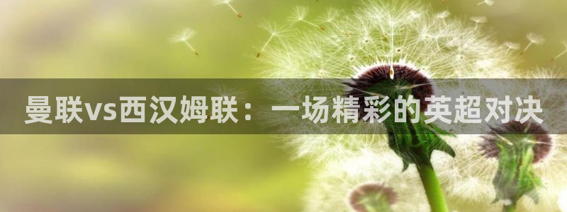 飞速直播在线直播
