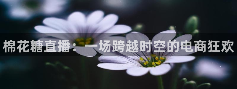 飞速nba直播在线观看